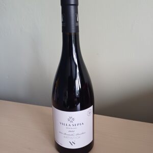 Villa-Sepia-Artistick-2022