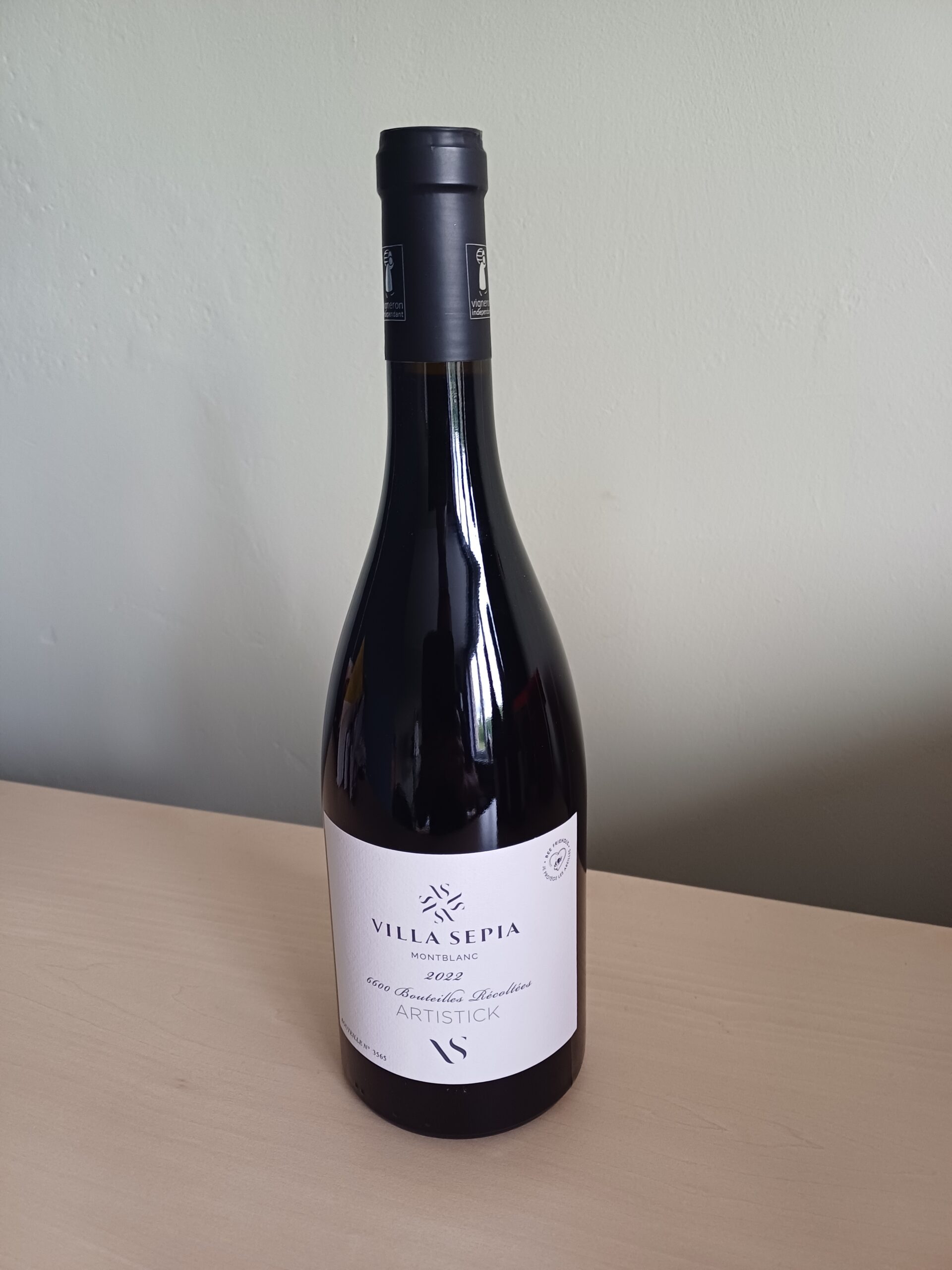 Villa-Sepia-Artistick-2022